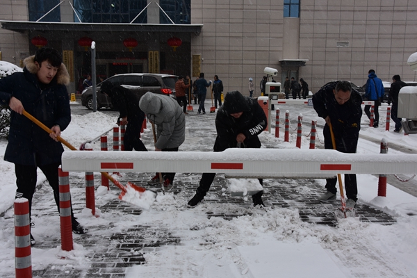 3.公司志愿者冒雪開展義務(wù)掃雪活動.jpg