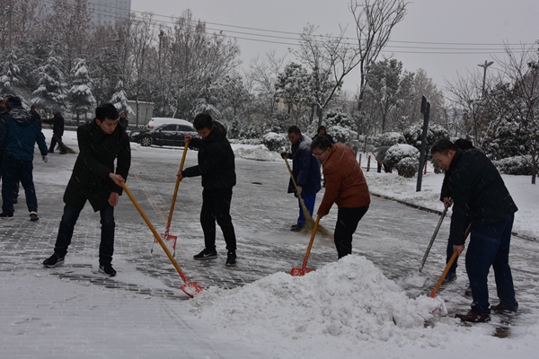 5.公司志愿者冒雪開展義務(wù)掃雪活動.jpg